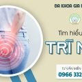 Trĩ nội là gì? - Nỗi lo âu của nhiều người | Đa khoa Gia Phước 12 Tìm hiểu về bệnh trĩ nội
