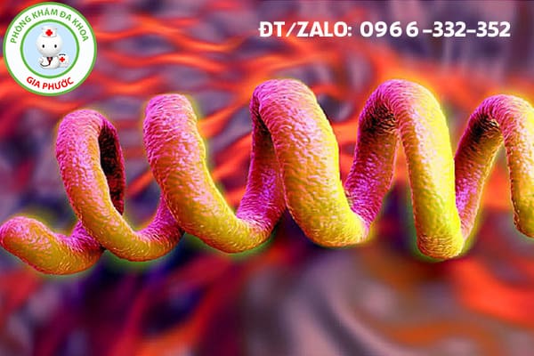 xoắn khuẩn giang mai