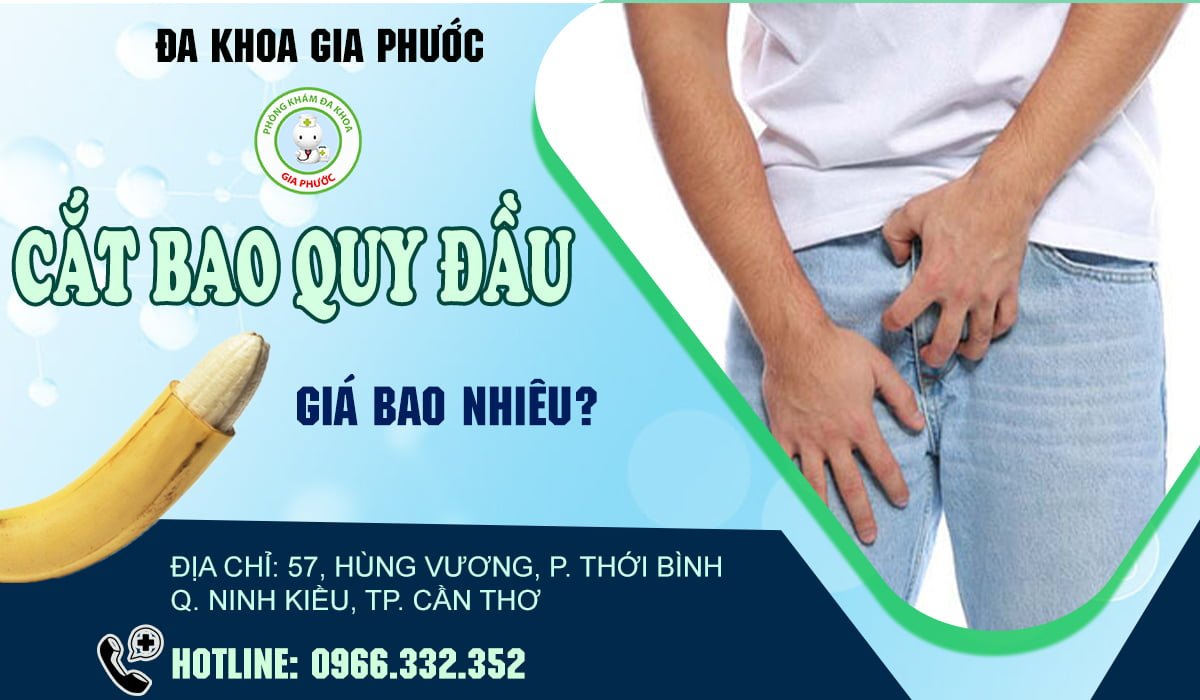 cat bao quy dau o dau 1 1