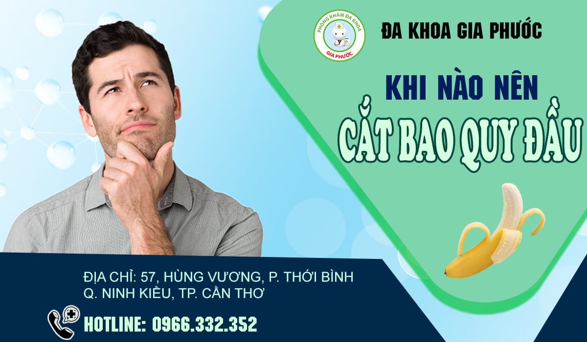 cat bao quy dau o dau 2 1