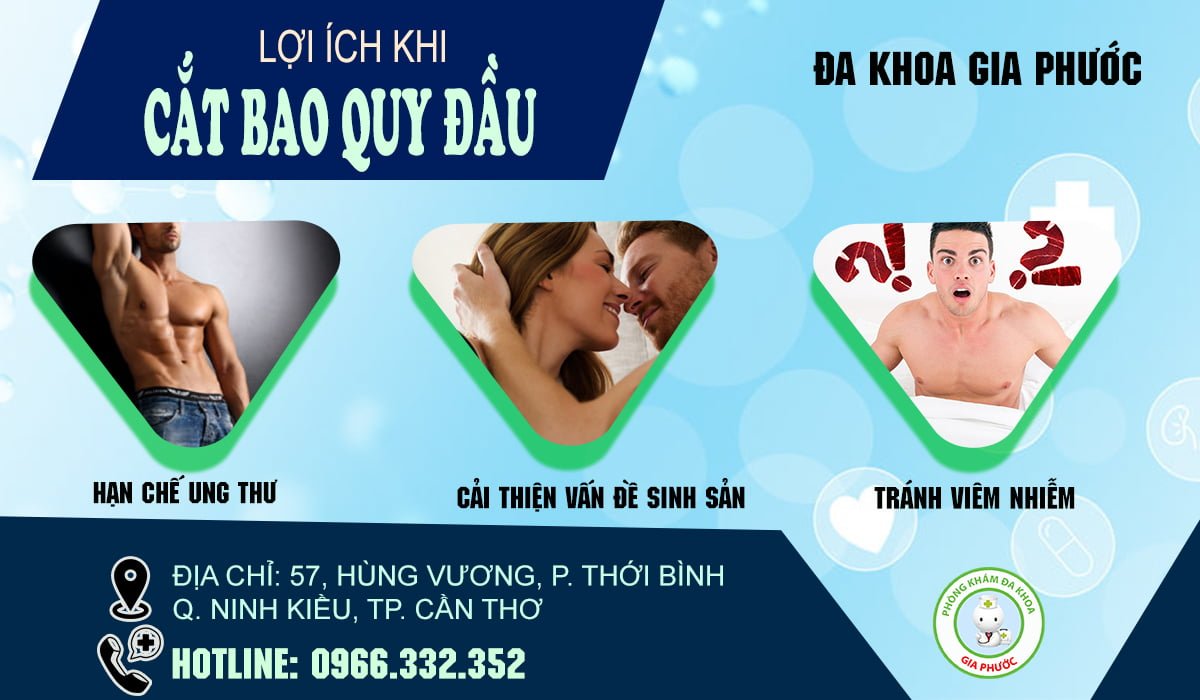 cat bao quy dau o dau 3 2