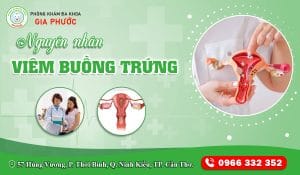Nguyên Nhân Bệnh Viêm Buồng Trứng Là Gì? 8 Nguyên Nhân Bệnh Viêm Buồng Trứng Là Gì?