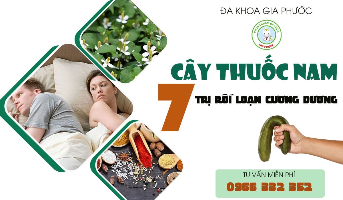 Thần kỳ 7 cây thuốc nam trị rối loạn cương dương vô cùng gần gũi, dễ tìm 30 thuốc nam trị rối loạn kinh nguyệt