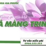 Kiêng gì sau khi vá màng trinh? Chế độ dinh dưỡng giúp hồi phục nhanh chóng 6 kiêng gì sau khi vá màng trinh