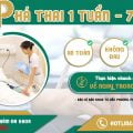 Phá thai 1 tuần-7 tuần