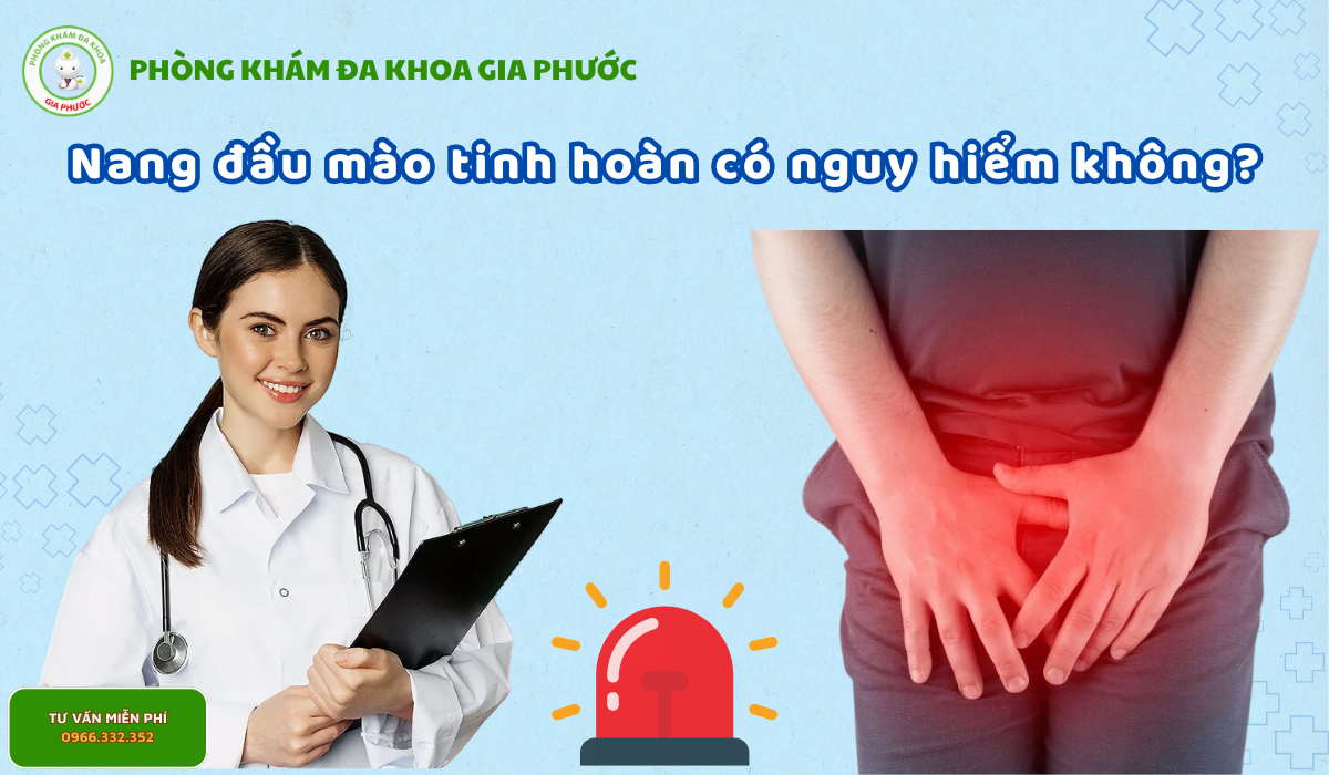 Nang đầu mào tinh hoàn