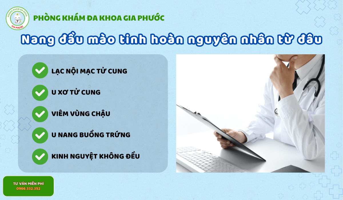 Nang đầu mào tinh hoàn