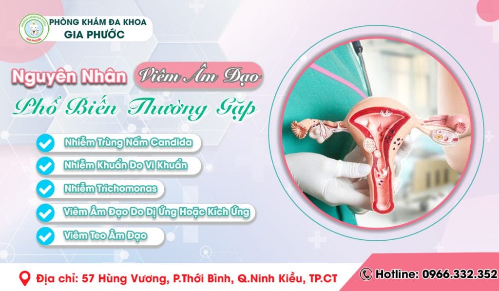 Nguyên Nhân Viêm Âm Đạo Phổ Biến Thường Gặp