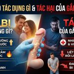 Găm bi có tác dụng gì và tác hại của gắn bi