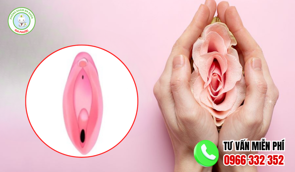 Môi Cô Bé Như Thế Nào Là Đẹp? Tổng Hợp Hình Ảnh Và Tiêu Chuẩn Y Khoa 5 Hình ảnh môi cô bé đẹp