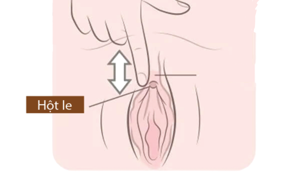 Ngứa Hột Le: Nguyên Nhân, Cách Trị Hiệu Quả 2 Nguyên nhân dẫn đến ngứa hột le