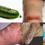 Hình ảnh gắn bi vào của quy nam giới