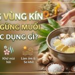 Xông vùng kín bằng gừng muối có tác dụng gì