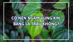 Có nên ngâm vùng kín bằng lá trầu không