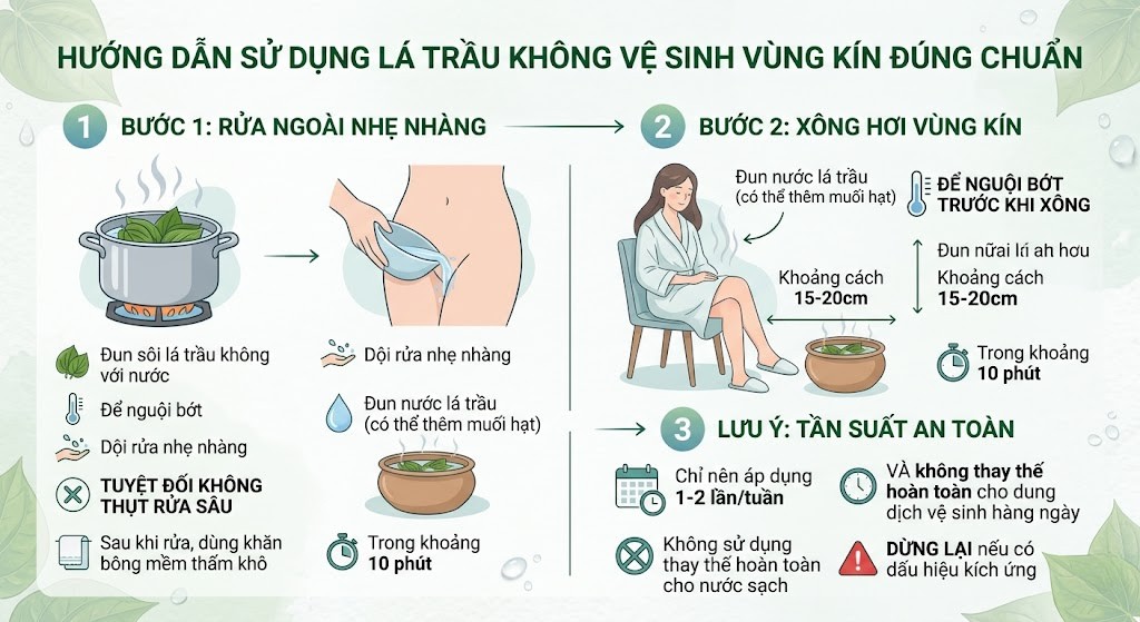 Có Nên Ngâm Vùng Kín Bằng Lá Trầu Không? Hiểu Đúng Để Bảo Vệ Cô Bé 2 Hướng dẫn sử dụng lá trầu không vệ sinh vùng kín đúng chuẩn