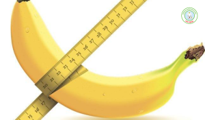 Kích thước dương vật của người việt nam theo từng độ tuổi