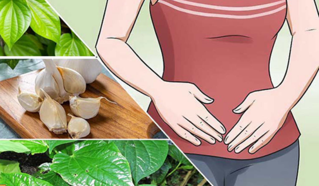 Tầm quan trọng của chế độ ăn uống đối với viêm nhiễm phụ khoa