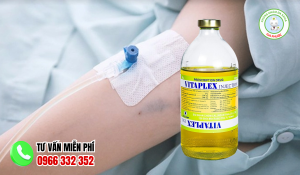 Truyền nước biển vàng có tác dụng gì