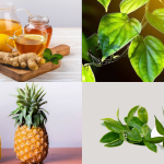 Uống gì để hết viêm phụ khoa