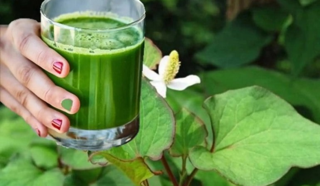 Uống gì để hết viêm phụ khoa