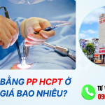 Cắt trĩ bằng phương pháp hcpt ở đâu