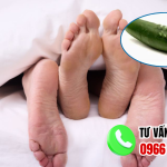Găm bi có tác dụng gì