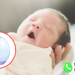 Nhận Biết Hình Ảnh Tinh Hoàn Bình Thường Ở Trẻ Sơ Sinh Cho Cha Mẹ 6 hình ảnh tinh hoàn bình thường ở trẻ sơ sinh