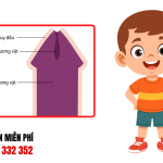 Hình ảnh bao quy đầu bình thường ở trẻ