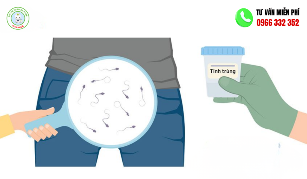 Hình Ảnh Tinh Trùng Vô Sinh Và Cách Điều Trị Chuẩn Y Khoa 2 Hình ảnh tinh trùng vô sinh