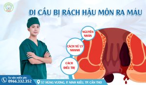 Đi cầu bị rách hậu môn ra máu