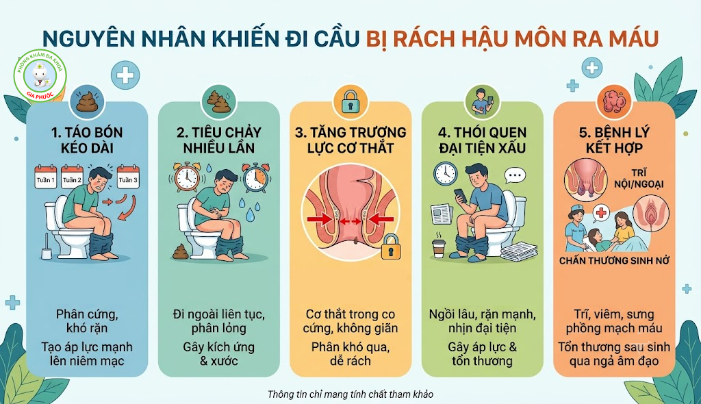 Nguyên nhân khiến đi cầu bị rách hậu môn ra máu