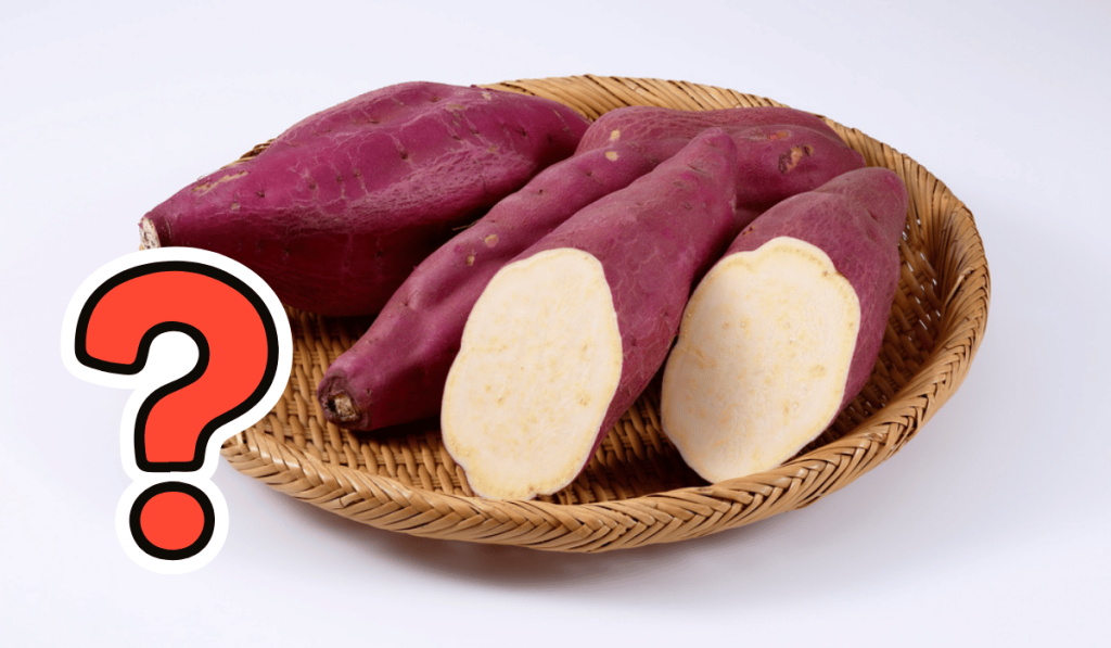 Bệnh Trĩ Có Ăn Khoai Lang Được Không? Lợi Ích Vàng 1 Bệnh Trĩ Có Ăn Khoai Lang Được Không
