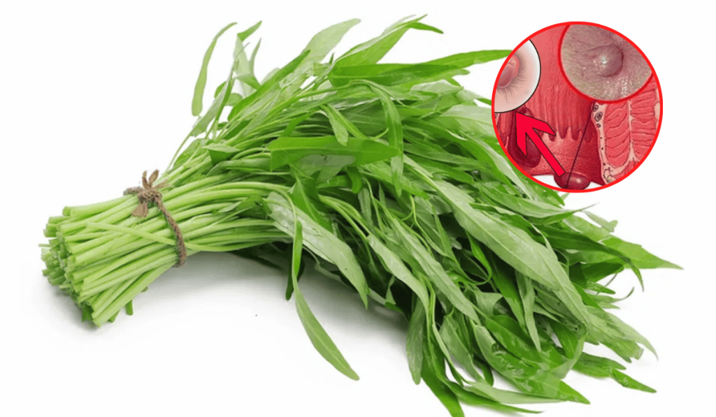 Bệnh Trĩ Có Ăn Rau Muống Được Không? Giải Đáp 1 Bệnh Trĩ Có Ăn Rau Muống Được Không