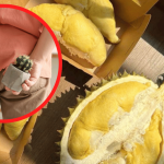 Bệnh Trĩ Có Ăn Sầu Riêng Được Không