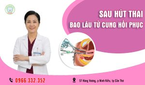 Sau hút thai bao lâu thì tử cung hồi phục