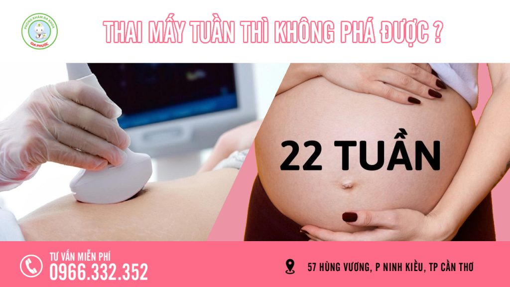 Thai mấy tuần thì không phá được?